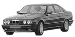 BMW E34 B252C Fault Code